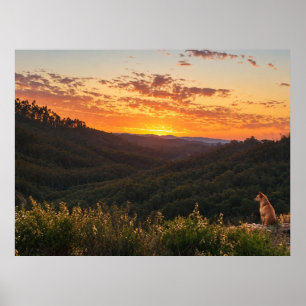 Wo die Sonne untergeht – Ein goldener Moment für e Poster