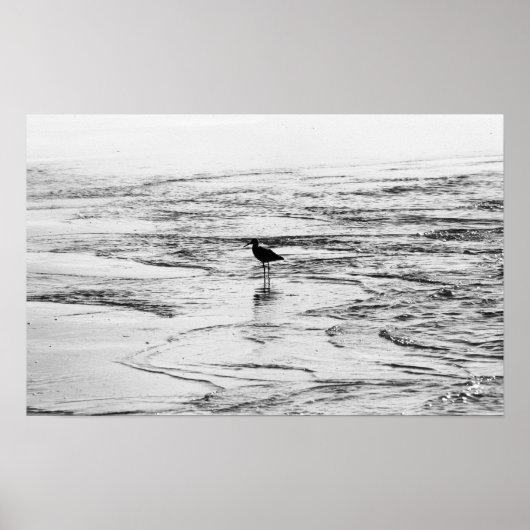 Wo die Waves enden Poster (Vorne)