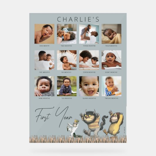 Wo die wilden Dinge sind - 12 Monate Foto Collage Acrylschild (Vorderseite)