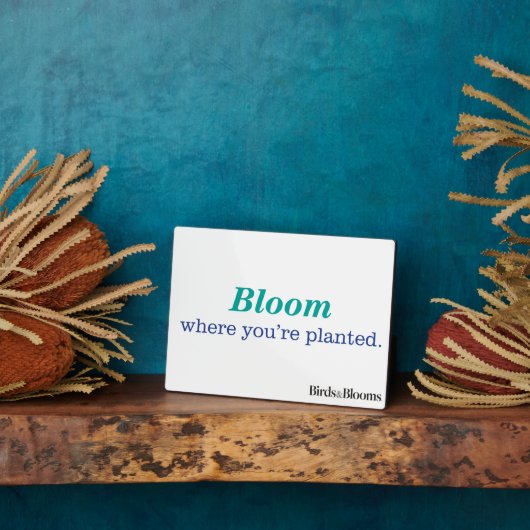 Wo du gepflanzt bist fotoplatte (Seite)