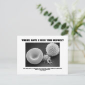 Wo habe ich das schon mal gesehen? Blutkörperchen Postkarte (Stehend Vorderseite)