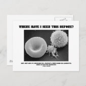 Wo habe ich das schon mal gesehen? Blutkörperchen Postkarte (Vorne/Hinten)