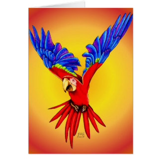 Wo ich bin, nehmen Sie an, um zu landen