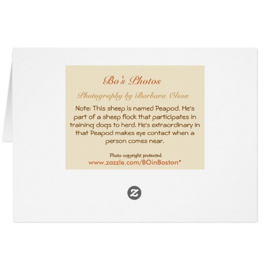 Wo in der Flock war Ewe? (Rückseite Horizontal)