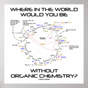 Wo in der Welt Sie ohne Bio Chemie? Poster