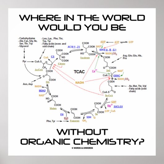 Wo in der Welt Sie ohne Bio Chemie? Poster (Vorne)