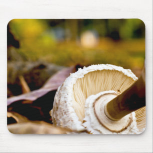 Wo ist Alice? Pilz-Stillleben Mousepad