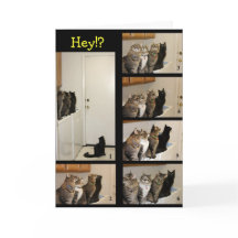 Wo ist das Kind hin-Abschluss gegangen?