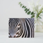 Wo ist der Zebra? Postkarte (Stehend Vorderseite)