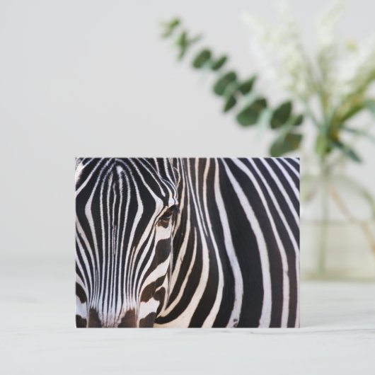 Wo ist der Zebra? Postkarte (Stehend Vorderseite)