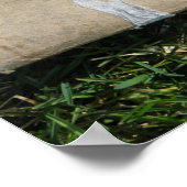 Wo ist die Erholung davon? Poster (Ecke)