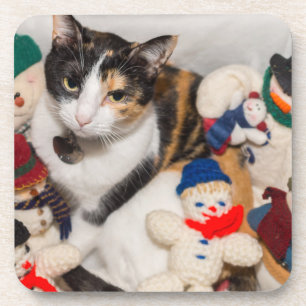 Wo ist die Katze? Getränkeuntersetzer
