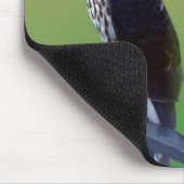 "Wo ist die Maus???" Falken Mousepad (Ecke)