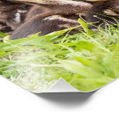 Wo ist Mama? Fotodruck (Ecke)