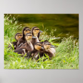 Wo ist Mama? Poster (Vorne)