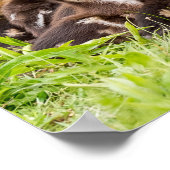 Wo ist Mama? Poster (Ecke)