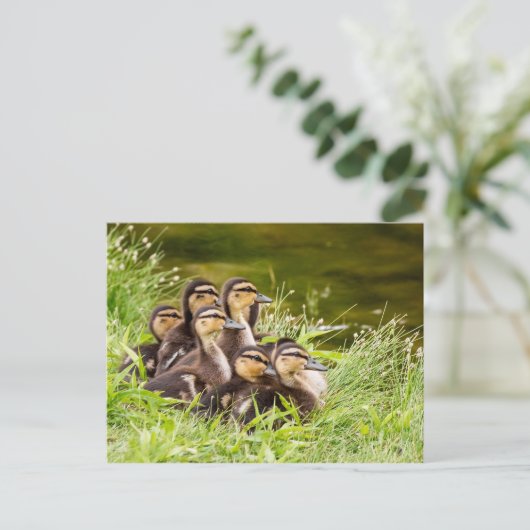 Wo ist Mama? Postkarte (Stehend Vorderseite)