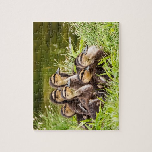 Wo ist Mama? Puzzle (Vertikal)