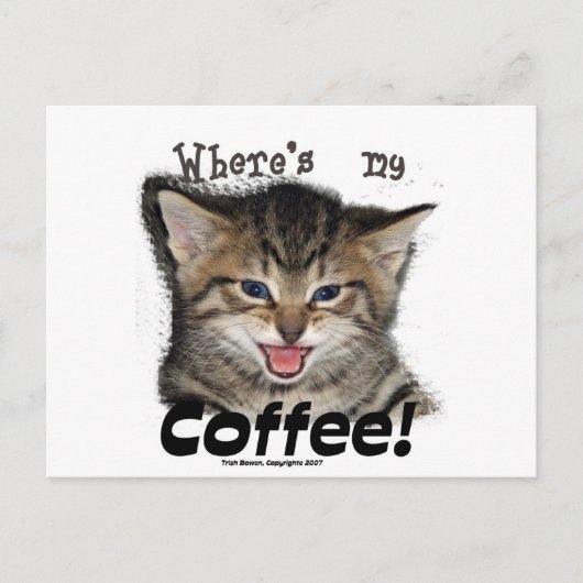 Wo ist mein Kaffee Cat? Postkarte (Vorderseite)