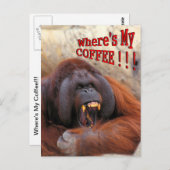 Wo ist mein Kaffee!! Postkarte (Vorne/Hinten)