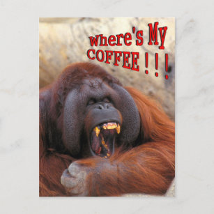 Wo ist mein Kaffee!! Postkarte