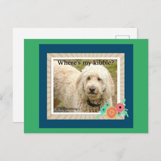 Wo ist meine Kibble, Gute Morgenpost-Karte? Postkarte (Vorne/Hinten)