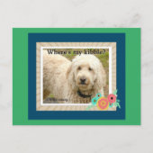 Wo ist meine Kibble, Gute Morgenpost-Karte? Postkarte (Vorderseite)