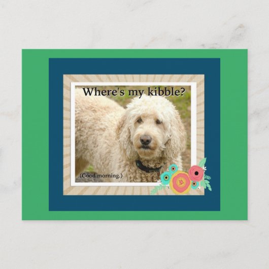 Wo ist meine Kibble, Gute Morgenpost-Karte? Postkarte (Vorderseite)