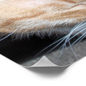 Wo ist Moo? Poster (Ecke)