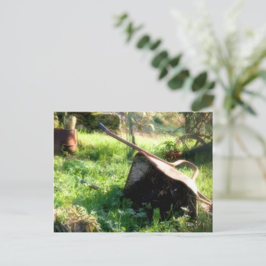 Wo ist Peter Rabbit? Postkarte (Stehend Vorderseite)