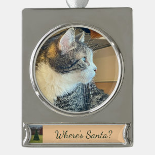 Wo ist Santa Cat? Banner-Ornament Silber
