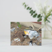 Wo ist Ted schiefgegangen? Postkarte (Stehend Vorderseite)