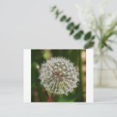 Wo jemals der Wind bläst Postkarte (Stehend Vorderseite)