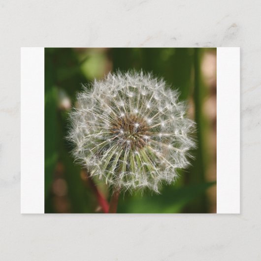 Wo jemals der Wind bläst Postkarte (Vorderseite)