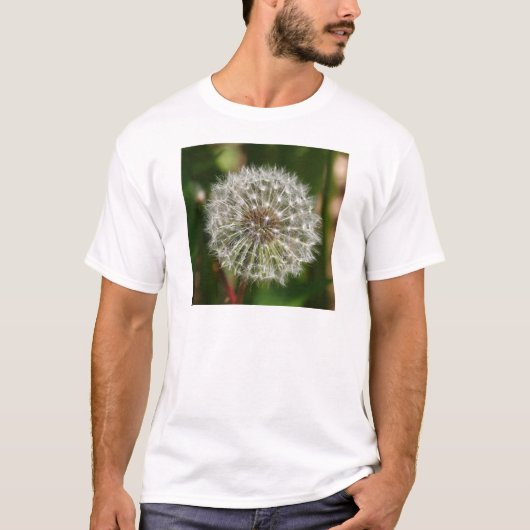 Wo jemals der Wind bläst T-Shirt (Vorderseite)
