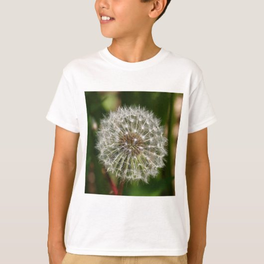 Wo jemals der Wind bläst T-Shirt (Vorderseite)