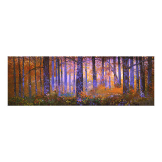 Wo sich die Magie verbirgt - weite Waldlandschaft Fotodruck