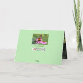 Wo sich drei Gärten zur Grußkarte treffen Dankeskarte (Rückseite)