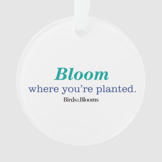 Wo Sie gepflanzt werden Ornament (Vorderseite)