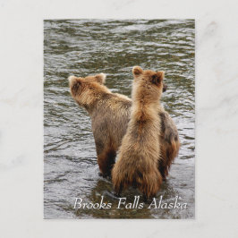 Wo siehst du Mama, Brooks Falls Alaska? Postkarte