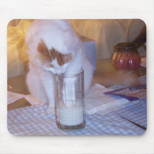 "WO" SIND DIE AUSSCHÜSSE? MOUSEPAD (Vorne)