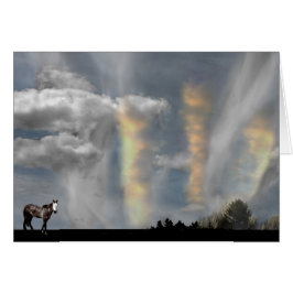 Wo Spirituosen ihre Karte ablegen