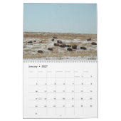 Wo theBuffalo durchstreifen Kalender (Jan 2027)