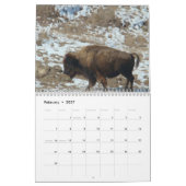 Wo theBuffalo durchstreifen Kalender (Feb 2027)