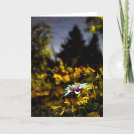 wo Träume kommen können Karte