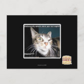 Wo warst du? postkarte (Vorderseite)