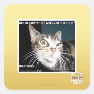 Wo warst du? quadratischer aufkleber