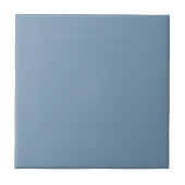 Woad Blue Square Küche und Badezimmer Fliese (Vorderseite)