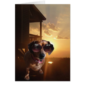 "Woah, diese Sonne ist hell", sagte Baxter.