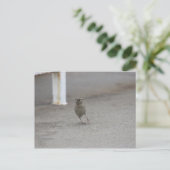 Woah Sparrow! Postkarte (Stehend Vorderseite)